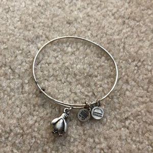 Silver penguin Alex and ani